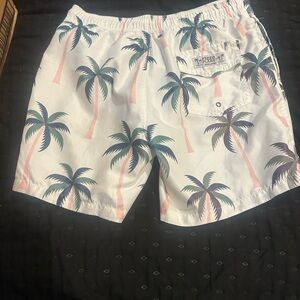 Free Planet Tropical Palm Men's Shorts - White and Green